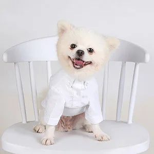 Premium Dog Hoodie - Soft Cotton Pet Sweater for Small Dogs Pomeranian Yorkshire Terrier