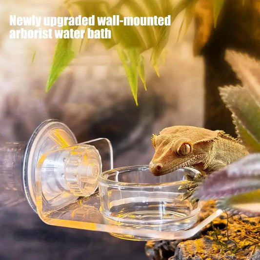 Magnetic Reptile Feeding Ledge - Suction Cup Food Station for Geckos & Lizards | Petziverse