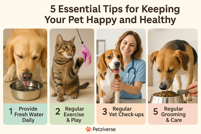 5 Essential Tips for Keeping Your Pet Happy and Healthy: A Complete Guide