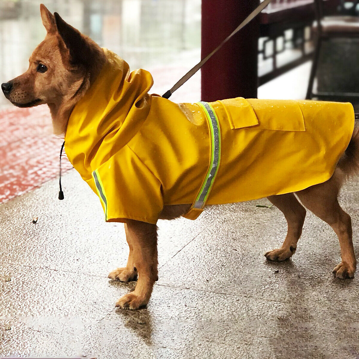 Waterproof Dog Raincoat - Reflective Hooded Jacket with Leash Hole