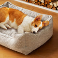 Calming Orthopedic Dog Bed
