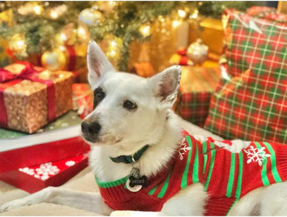 Christmas Sweater for Dogs and Cats-2