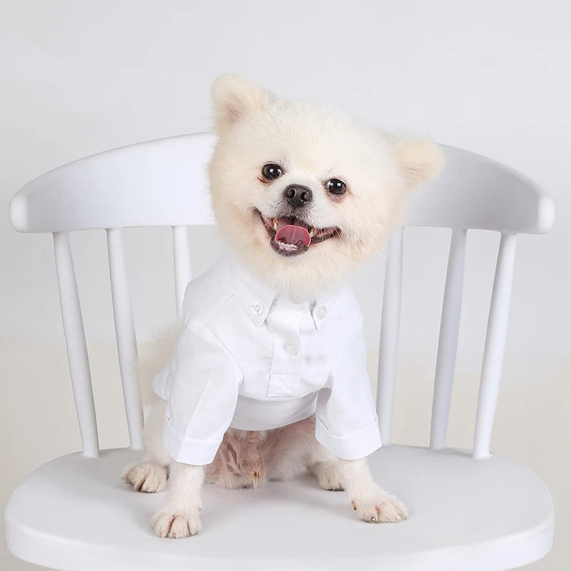 Premium Dog Hoodie - Soft Cotton Pet Sweater for Small Dogs Pomeranian Yorkshire Terrier