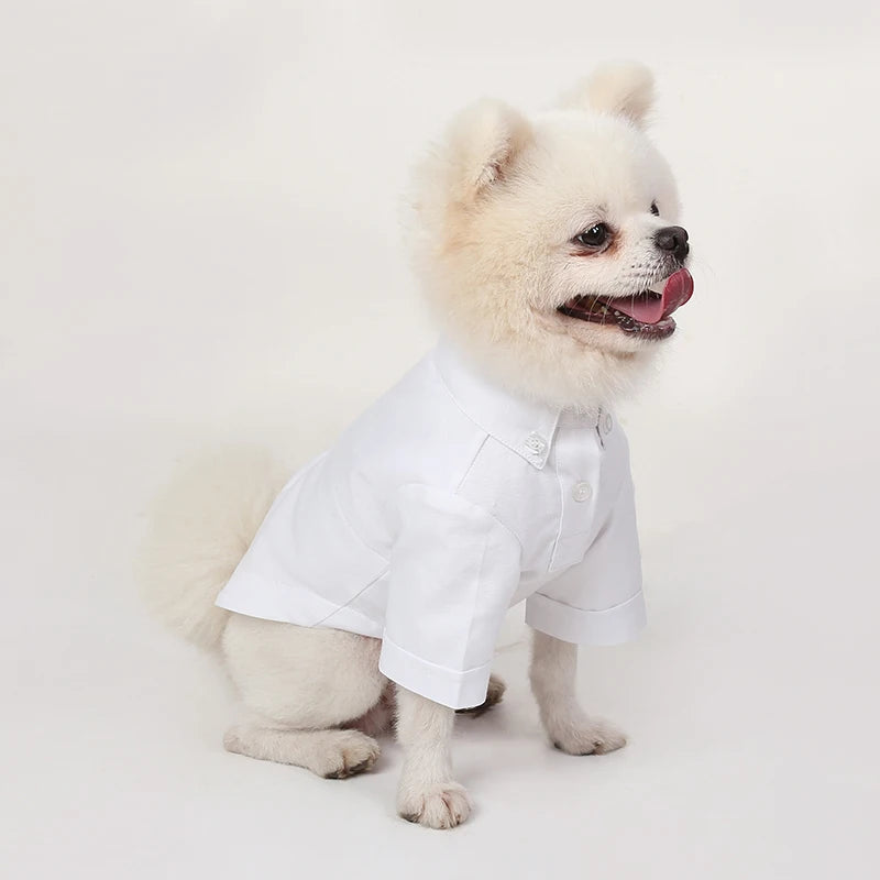 Premium Dog Hoodie - Soft Cotton Pet Sweater for Small Dogs Pomeranian Yorkshire Terrier