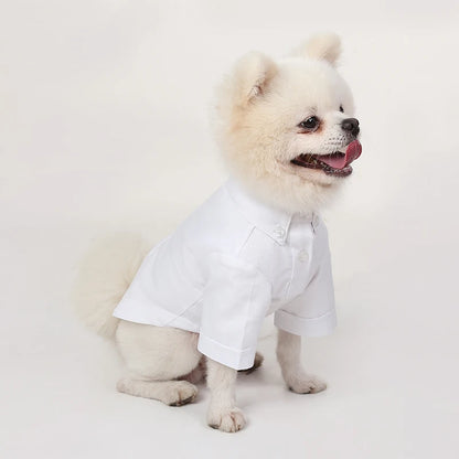 Premium Dog Hoodie - Soft Cotton Pet Sweater for Small Dogs Pomeranian Yorkshire Terrier
