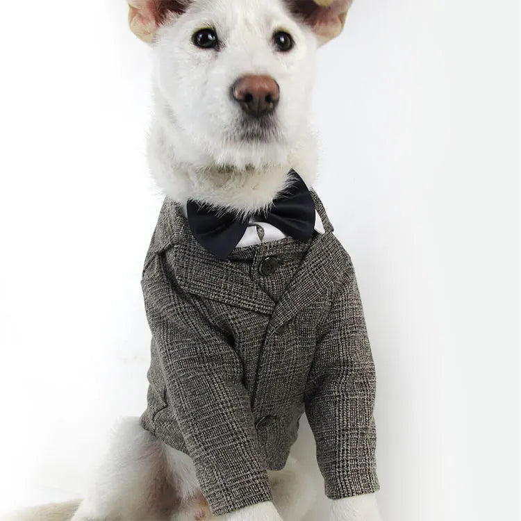 Premium Dog Vest Suit - Formal Wedding Party Outfit for Small Dogs & Cats