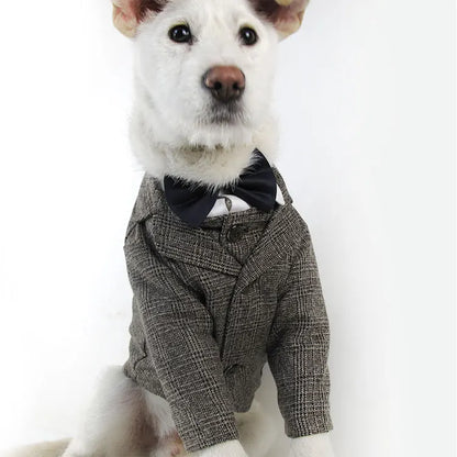 Premium Dog Vest Suit - Formal Wedding Party Outfit for Small Dogs & Cats