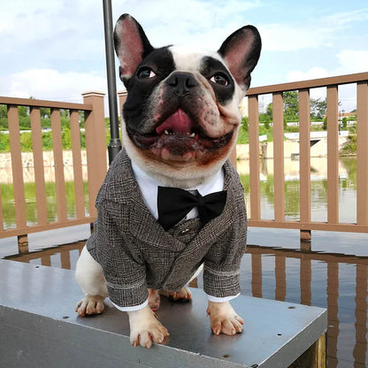 Premium Dog Vest Suit - Formal Wedding Party Outfit for Small Dogs & Cats