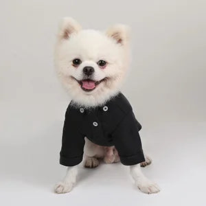 Premium Dog Hoodie - Soft Cotton Pet Sweater for Small Dogs Pomeranian Yorkshire Terrier