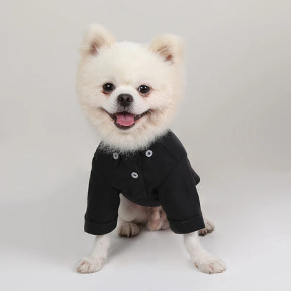 Premium Dog Hoodie - Soft Cotton Pet Sweater for Small Dogs Pomeranian Yorkshire Terrier