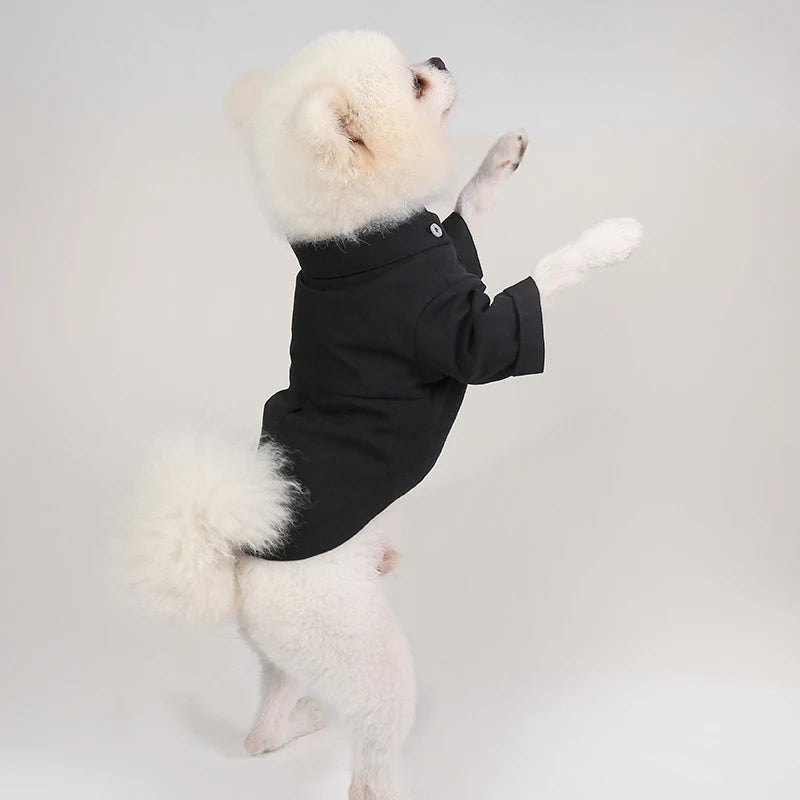 Premium Dog Hoodie - Soft Cotton Pet Sweater for Small Dogs Pomeranian Yorkshire Terrier