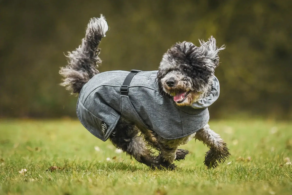 Jaegr Supreme Coat by Jaegr Dogwear Winter Protection