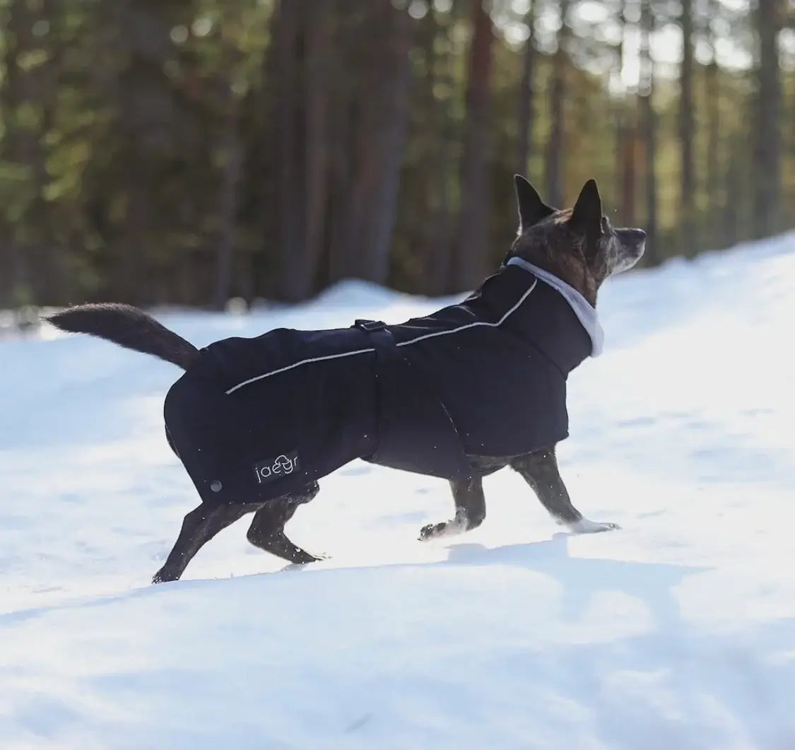 Jaegr Supreme Coat by Jaegr Dogwear Winter Protection