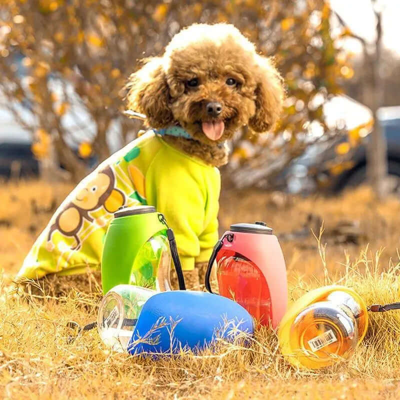 Portable Pet Hydration Bottle-4