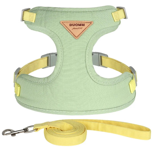 Escape-Proof Cat Harness & Collar Set - Adjustable Walking Harness for Kittens & Cats