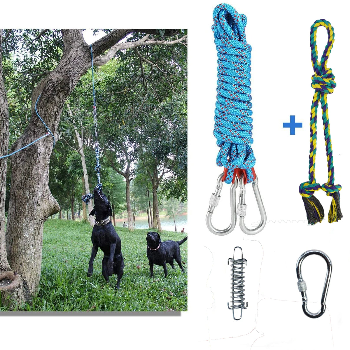 Interactive Dog Bungee Rope Toy - Hanging Exercise & Training System