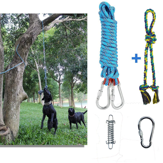 Interactive Dog Bungee Rope Toy - Hanging Exercise & Training System
