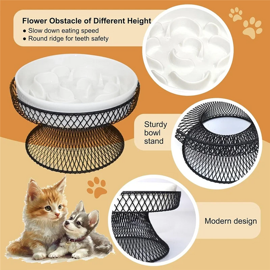Elevated Cat Slow Feeder Bowl - Raised Stand for Wet & Dry Food | Petziverse