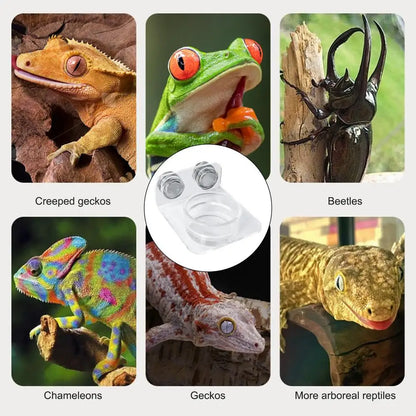 Magnetic Reptile Feeding Ledge - Suction Cup Food Station for Geckos & Lizards | Petziverse