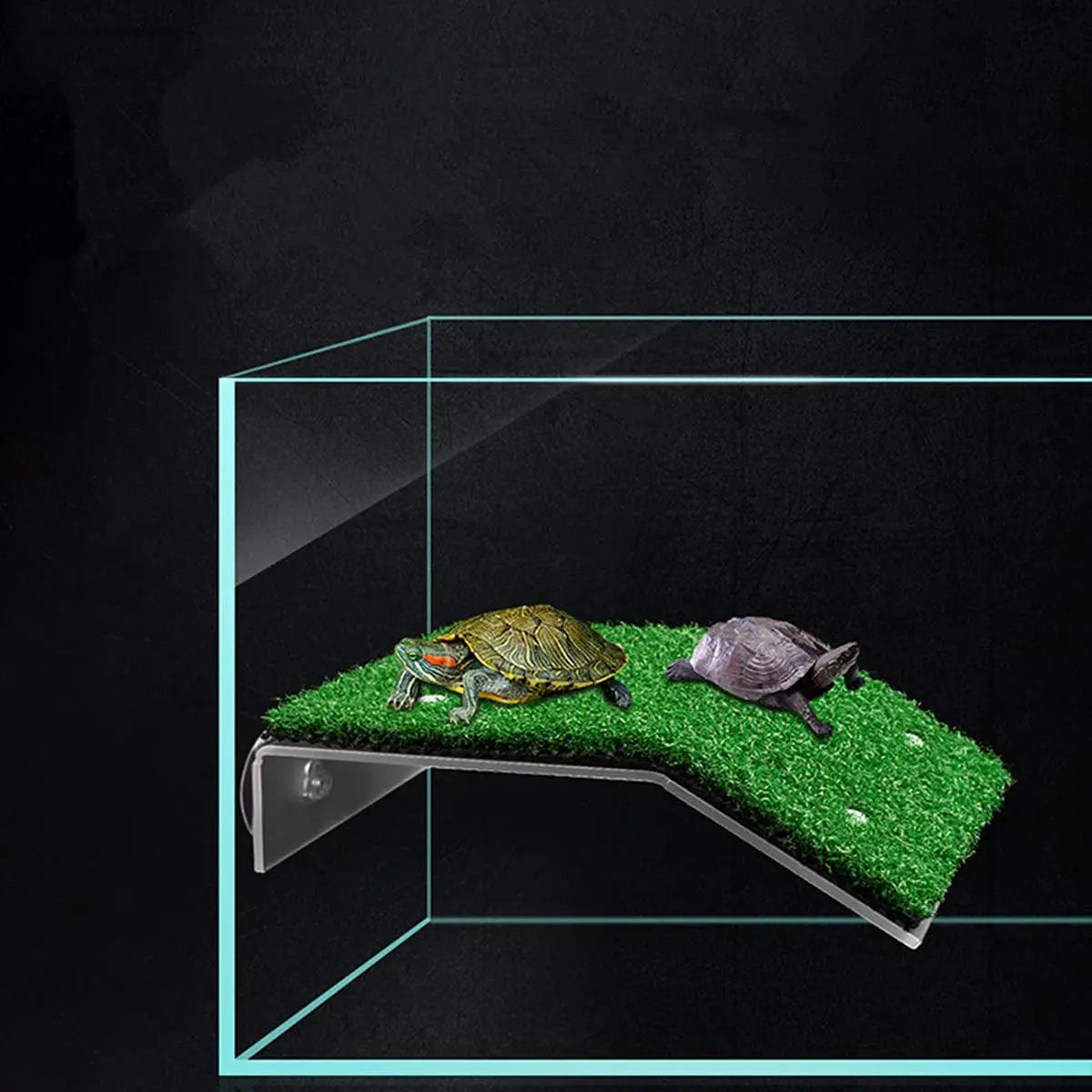 Grass Turtle Basking Platform - Natural Lawn Ramp for Aquarium Tanks
