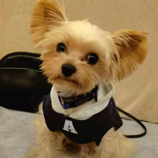 Premium Dog Soft Sweatshirt - Winter Warm Pet Hoodie for Small Medium Dogs French Bulldog Chihuahua