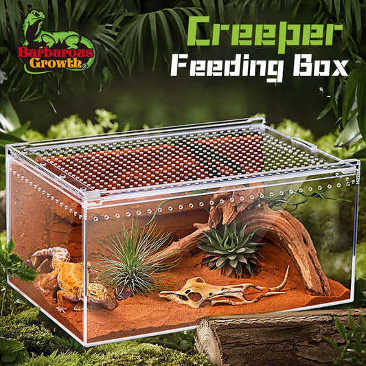 Reptile Terrarium - 30x20x15cm Transparent Breeding Enclosure