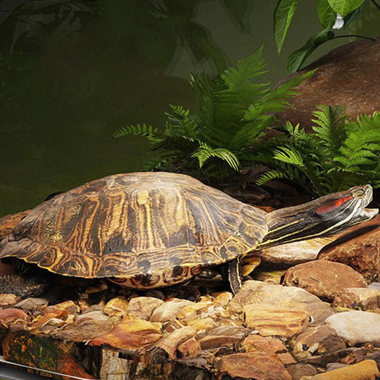Over-Tank Turtle Basking Platform - Hanging Reptile Dock with Heat-Resistant Lid