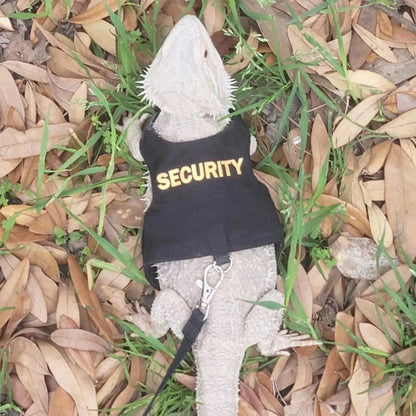 Premium Reptile Harness Vest - Professional Bearded Dragon Adventure System