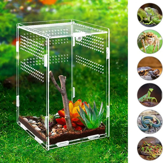 Reptile Terrarium - Transparent Habitat & Breeding Enclosure