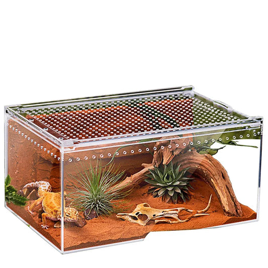 Reptile Terrarium - 30x20x15cm Transparent Breeding Enclosure
