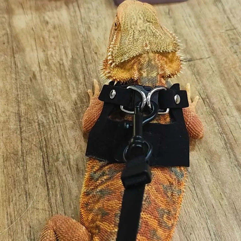3-Piece Adjustable Bearded Dragon Harness Set - PU Leather Leash & Traction Rope for Reptiles