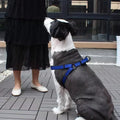 No-Pull Dog Harness