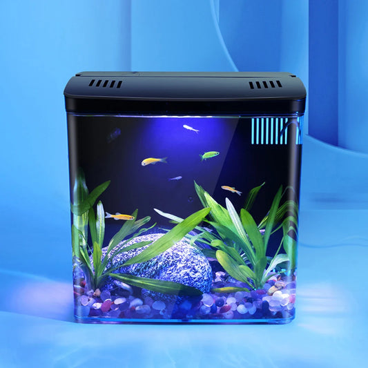 Mini Betta Fish Tank - Small Desktop Aquarium for Home & Office