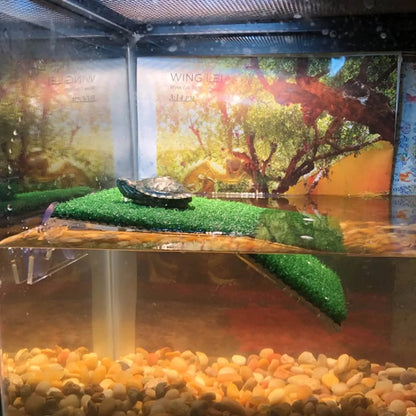 Grass Turtle Basking Platform - Natural Lawn Ramp for Aquarium Tanks