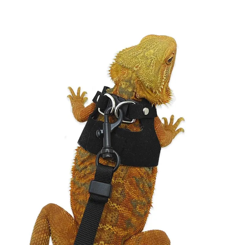 3-Piece Adjustable Bearded Dragon Harness Set - PU Leather Leash & Traction Rope for Reptiles