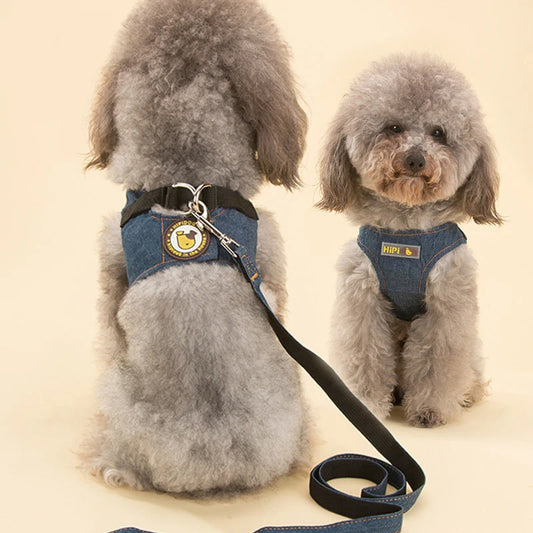 Safety Dog Harness & Leash Set - Adjustable Vest for Small to Medium Dogs | Petziverse
