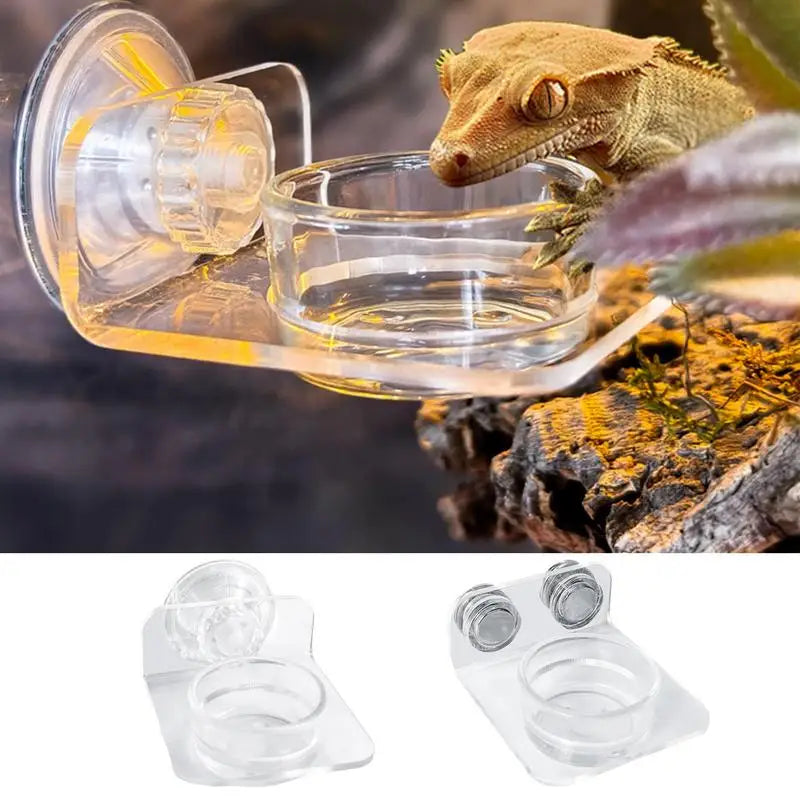 Magnetic Reptile Feeding Ledge - Suction Cup Food Station for Geckos & Lizards | Petziverse