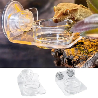 Magnetic Reptile Feeding Ledge - Suction Cup Food Station for Geckos & Lizards | Petziverse