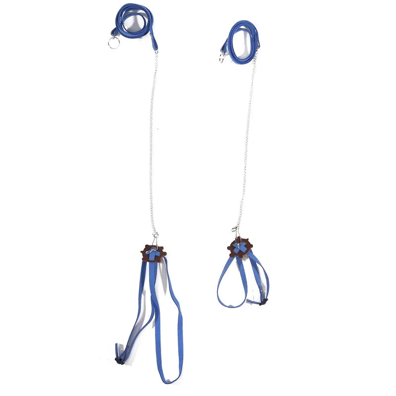 Soft Reptile Leash - Professional Velvet Training Harness for Turtles and Lizards