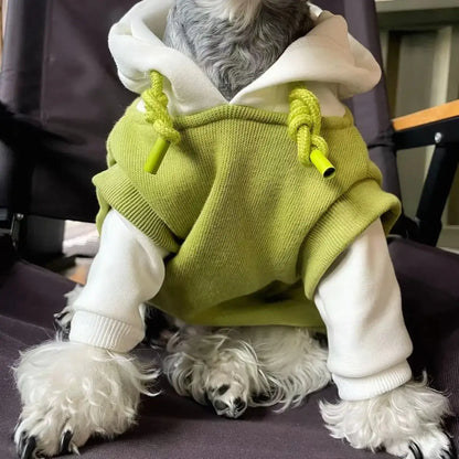 Premium Dog Hooded Sweatshirt - Winter Pet Hoodie UK | Petziverse