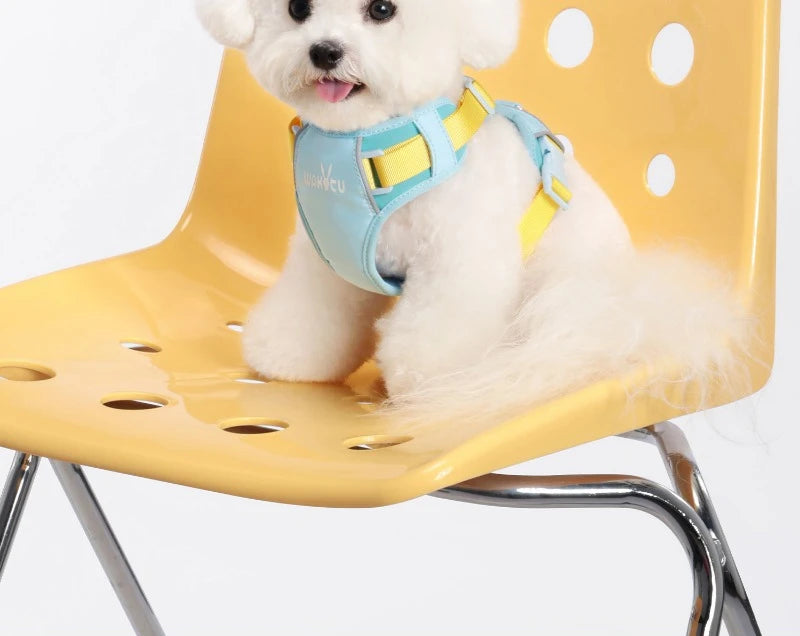 Breathable Dog Vest Harness - Waterproof Chest Strap Walking System