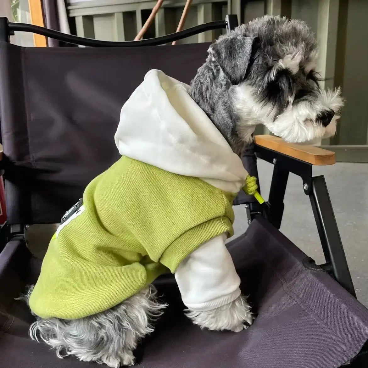 Premium Dog Hooded Sweatshirt - Winter Pet Hoodie UK | Petziverse