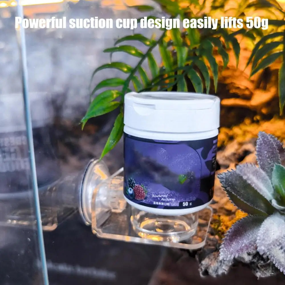 Magnetic Reptile Feeding Ledge - Suction Cup Food Station for Geckos & Lizards | Petziverse