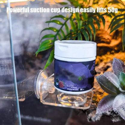 Magnetic Reptile Feeding Ledge - Suction Cup Food Station for Geckos & Lizards | Petziverse