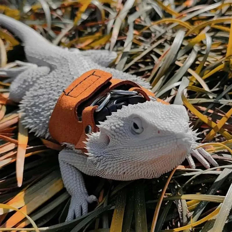 3-Piece Adjustable Bearded Dragon Harness Set - PU Leather Leash & Traction Rope for Reptiles