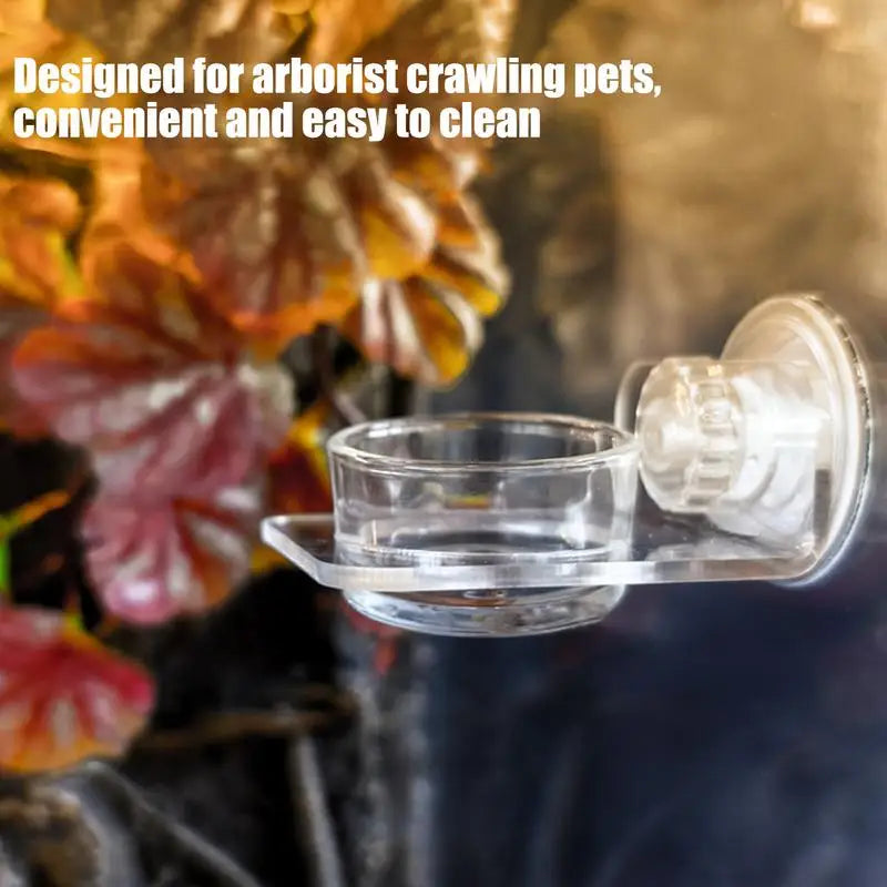 Magnetic Reptile Feeding Ledge - Suction Cup Food Station for Geckos & Lizards | Petziverse
