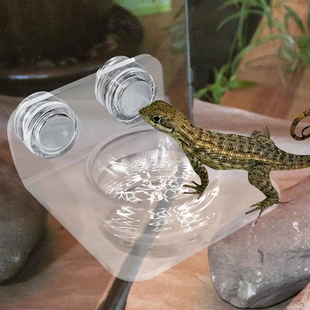 Magnetic Reptile Feeding Ledge - Suction Cup Food Station for Geckos & Lizards | Petziverse