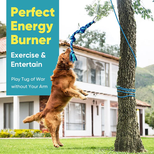 Interactive Bungee Dog Exercise Toy - Professional Spring Pole Training System