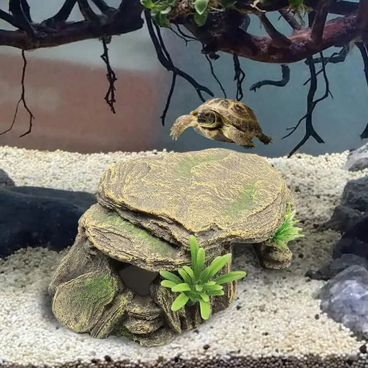 Reptile Hide Cave - Natural Terrarium Shelter for Turtles & Lizards