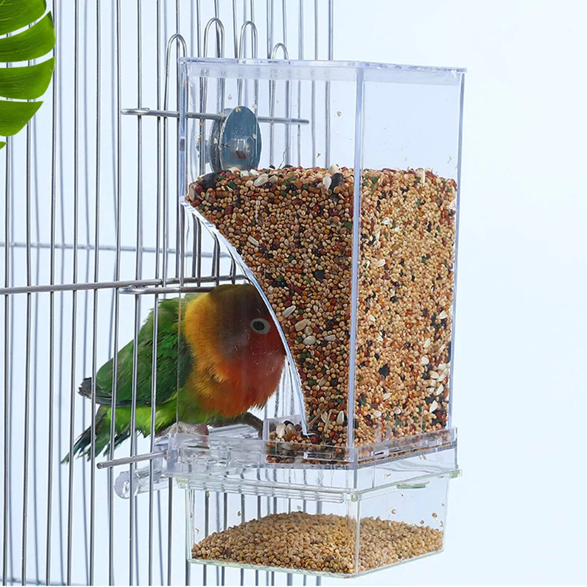 No-Mess Acrylic Bird Feeder - Seed Container for Small to Medium Birds
